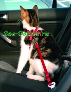 TRIXIE:> Автомобильный ремень безопасности для кошки Trixie 20-50см 1294 .В зоомагазине ЗооОстров товары производителя TRIXIE (ТРИКСИ) Германия. Доставка.