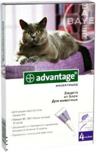 Advantage:> Капли от блох и клещей Адвантейдж 80 для кошек более 4кг, 4 пипетки по 0,8мл .В зоомагазине ЗооОстров товары производителя Bayer (Германия). Доставка.